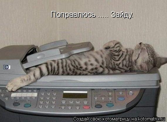 Поправлюсь ..... Зайду.... Котоматрица: Поправлюсь ..... Зайду.