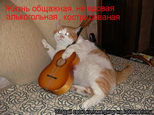 Жизнь общажная, не едовая,алкогольная, кострированая ууу-ууу--уууу Жизнь общажная , не едовая , алько... Котоматрица: Жизнь общажная, не едовая,алкогольная, кострированая ууу-ууу--уууу Жизнь общажная , не едовая , алькогольная , кострированая