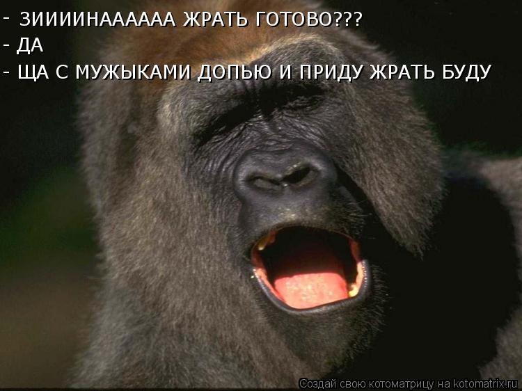 ЗИИИИНАААААА ЖРАТЬ ГОТОВО??? - ДА - ЩА С МУЖЫКАМИ ДОПЬЮ И ПРИДУ ЖРАТЬ БУДУ -... Котоматрица: ЗИИИИНАААААА ЖРАТЬ ГОТОВО??? - ДА - ЩА С МУЖЫКАМИ ДОПЬЮ И ПРИДУ ЖРАТЬ БУДУ -