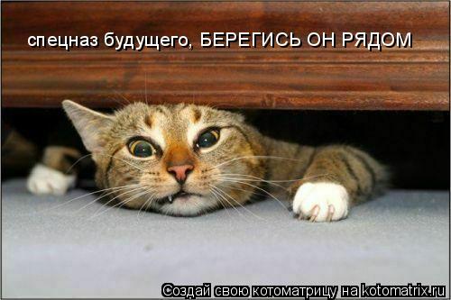 спецназ будущего, БЕРЕГИСЬ ОН РЯДОМ... Котоматрица: спецназ будущего, БЕРЕГИСЬ ОН РЯДОМ