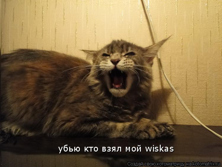убью кто взял мой wiskas... Котоматрица: убью кто взял мой wiskas