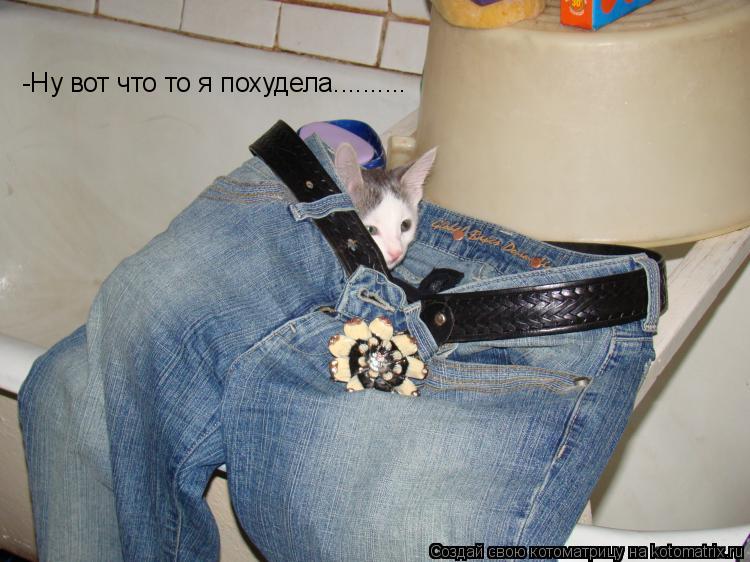 -Ну вот что то я похудела............. Котоматрица: -Ну вот что то я похудела..........