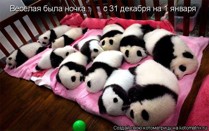 Весёлая была ночка... с 31 декабря на 1 января... Котоматрица: Весёлая была ночка... с 31 декабря на 1 января