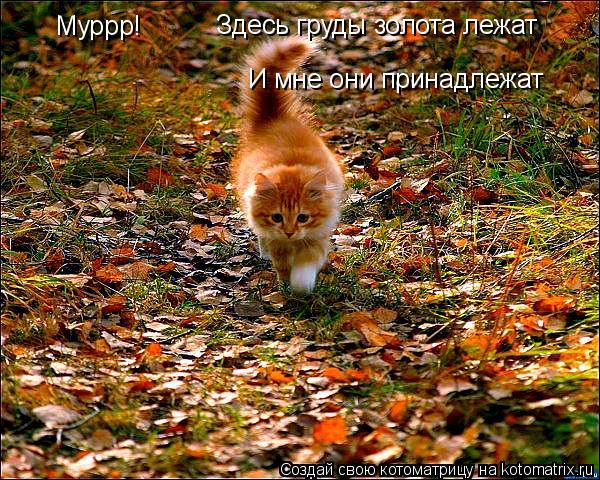 Муррр! Здесь груды золота лежат И мне они принадлежат... Котоматрица: Муррр! Здесь груды золота лежат И мне они принадлежат