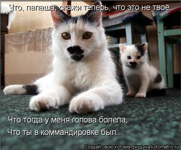 Что, папаша, скажи теперь, что это не твоё, Что тогда у меня голова болела, Что ты в коммандировке бы... Котоматрица: Что, папаша, скажи теперь, что это не твоё, Что тогда у меня голова болела, Что ты в коммандировке был...