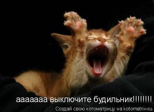 Котоматрица: ааааааа выключите будильник!!!!!!!!