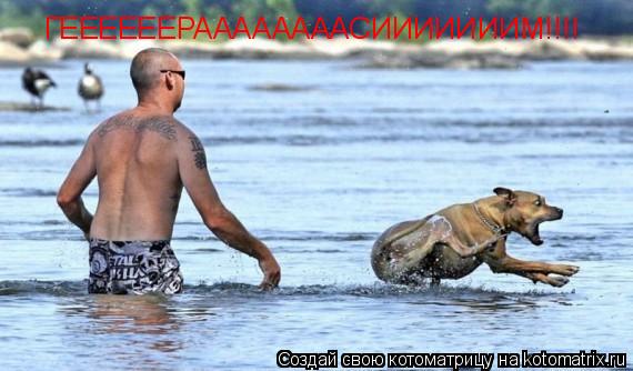 Котоматрица: ГЕЕЕЕЕЕРААААААААСИИИИИИИМ!!!!