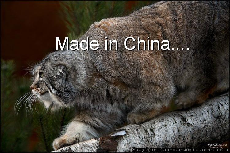 Котоматрица: Made in China....