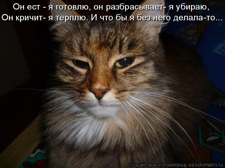 Котоматрица: Он кричит- я терплю. И что бы я без него делала-то... Он ест - я готовлю, он разбрасывает- я убираю,