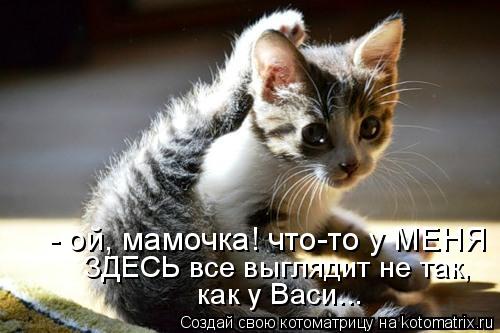 Котоматрица: ЗДЕСЬ все выглядит не так,  как у Васи...  - ой, мамочкa! что-то у МЕНЯ
