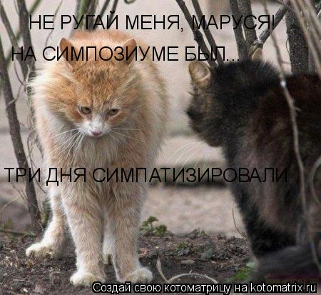 Котоматрица: НЕ РУГАЙ МЕНЯ, МАРУСЯ! НА СИМПОЗИУМЕ БЫЛ... ТРИ ДНЯ СИМПАТИЗИРОВАЛИ
