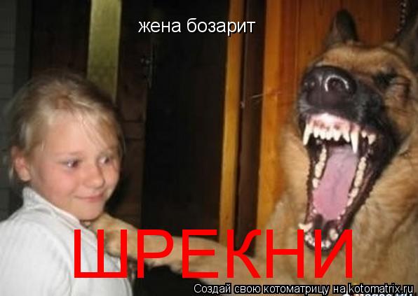 Котоматрица: жена бозарит ШРЕКНИ