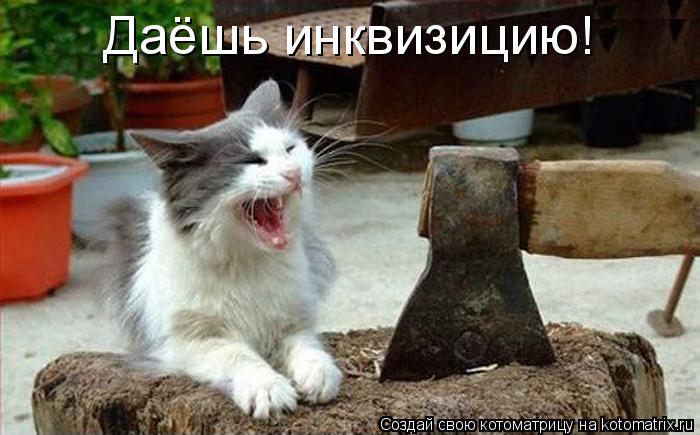 Котоматрица: Даёшь инквизицию!