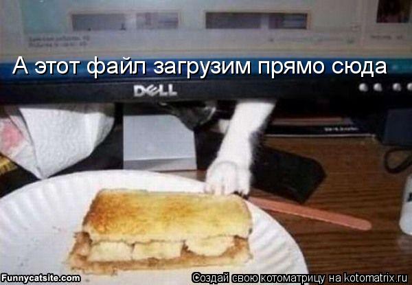Котоматрица: А этот файл загрузим прямо сюда