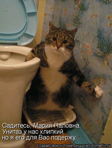 Котоматрица: Садитесь, Мария Паловна. Унитаз у нас хлипкий, но я его для Вас подержу.