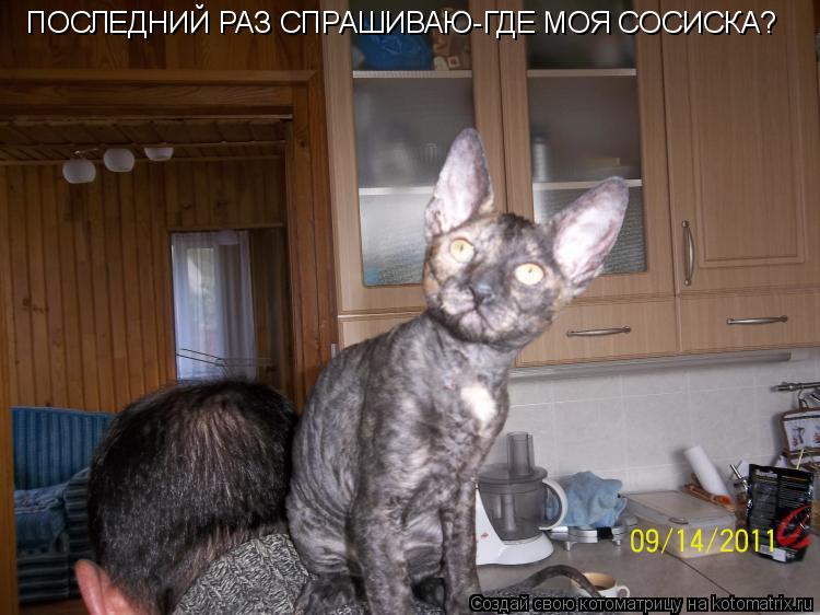 Котоматрица: ПОСЛЕДНИЙ РАЗ СПРАШИВАЮ-ГДЕ МОЯ СОСИСКА?