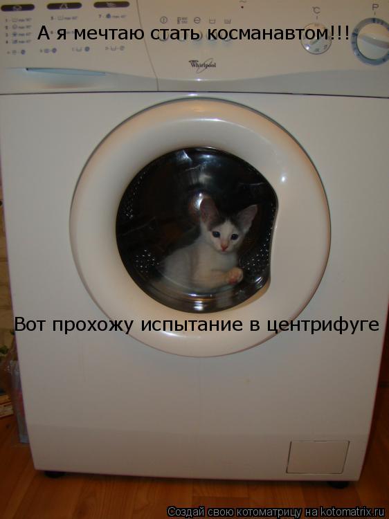 А я мечтаю стать косманавтом!!! Вот прохожу испытание в центрифуге... Котоматрица: А я мечтаю стать косманавтом!!! Вот прохожу испытание в центрифуге