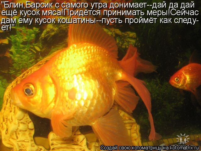 "Блин,Барсик с самого утра донимает--дай да дай ещё кусок мяса!Придётся принимать меры!Сейчас дам ему... Котоматрица: "Блин,Барсик с самого утра донимает--дай да дай ещё кусок мяса!Придётся принимать меры!Сейчас дам ему кусок кошатины--пусть проймёт как след