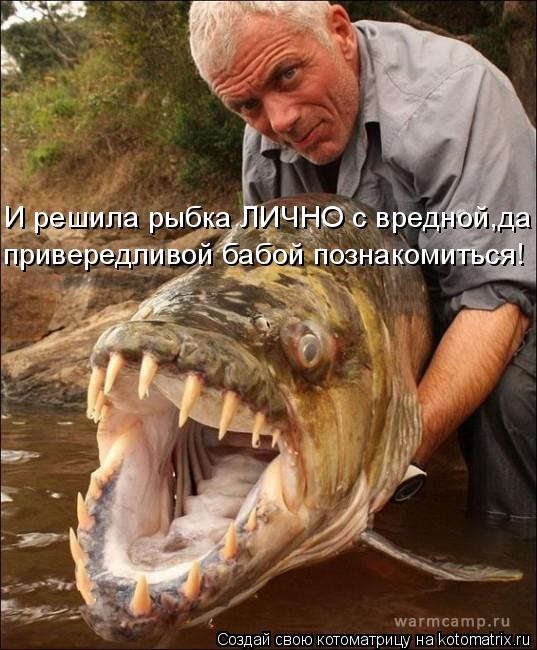 И решила рыбка ЛИЧНО с вредной,да привередливой бабой познакомиться!... Котоматрица: И решила рыбка ЛИЧНО с вредной,да привередливой бабой познакомиться!