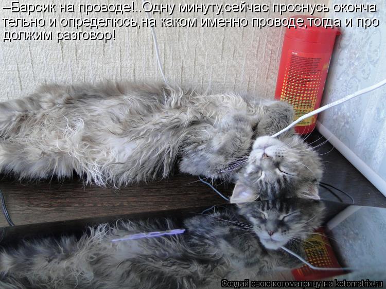 --Барсик на проводе!..Одну минуту,сейчас проснусь оконча тельно и определюсь,на каком именно проводе,... Котоматрица: --Барсик на проводе!..Одну минуту,сейчас проснусь оконча тельно и определюсь,на каком именно проводе,тогда и про должим разговор!