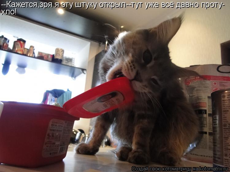 --Кажется,зря я эту штуку открыл--тут уже всё давно проту- хло!... Котоматрица: --Кажется,зря я эту штуку открыл--тут уже всё давно проту- хло!