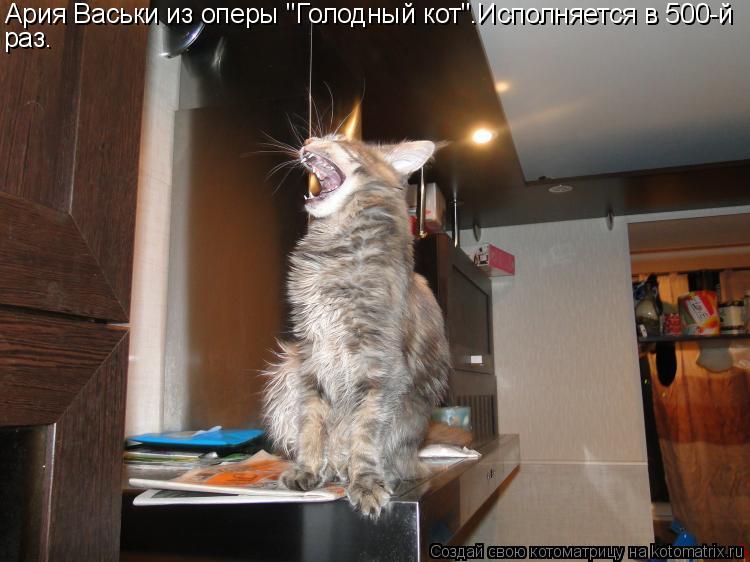 Ария Васьки из оперы "Голодный кот".Исполняется в 500-й раз.... Котоматрица: Ария Васьки из оперы "Голодный кот".Исполняется в 500-й раз.