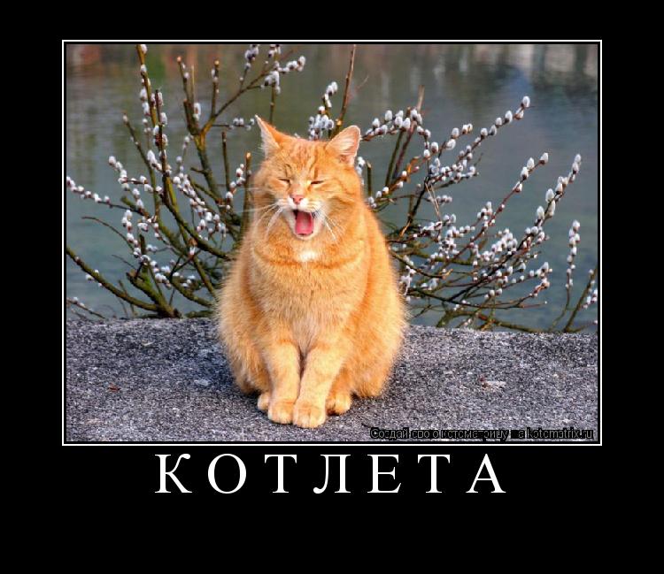 Котоматрица: Котлета 