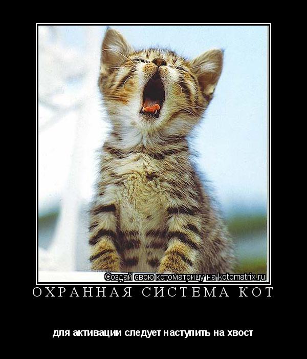 Котоматрица: охранная система кот для активации следует наступить на хвост