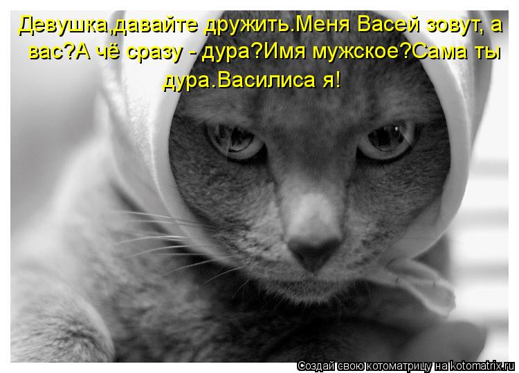 Девушка,давайте дружить.Меня Васей зовут, а вас?А чё сразу - дура?Имя мужское?Сама ты дура.Василиса я... Котоматрица: Девушка,давайте дружить.Меня Васей зовут, а вас?А чё сразу - дура?Имя мужское?Сама ты дура.Василиса я!