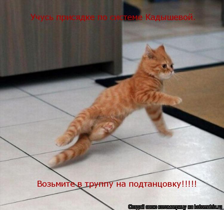 Учусь присядке по системе Кадышевой. Возьмите в труппу на подтанцовку!!!!!... Котоматрица: Учусь присядке по системе Кадышевой. Возьмите в труппу на подтанцовку!!!!!