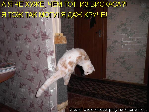А Я ЧЕ ХУЖЕ, ЧЕМ ТОТ, ИЗ ВИСКАСА?! Я ТОЖ ТАК МОГУ! Я ДАЖ КРУЧЕ!... Котоматрица: А Я ЧЕ ХУЖЕ, ЧЕМ ТОТ, ИЗ ВИСКАСА?! Я ТОЖ ТАК МОГУ! Я ДАЖ КРУЧЕ!