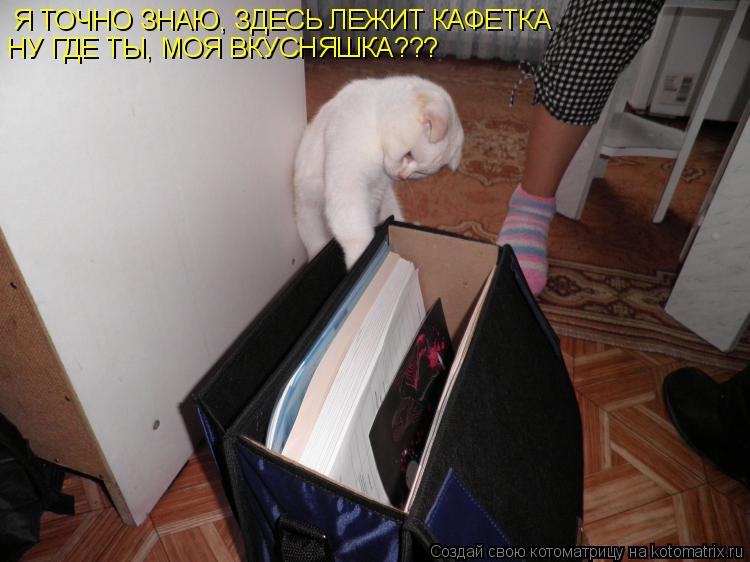 Я ТОЧНО ЗНАЮ, ЗДЕСЬ ЛЕЖИТ КАФЕТКА НУ ГДЕ ТЫ, МОЯ ВКУСНЯШКА???... Котоматрица: Я ТОЧНО ЗНАЮ, ЗДЕСЬ ЛЕЖИТ КАФЕТКА НУ ГДЕ ТЫ, МОЯ ВКУСНЯШКА???