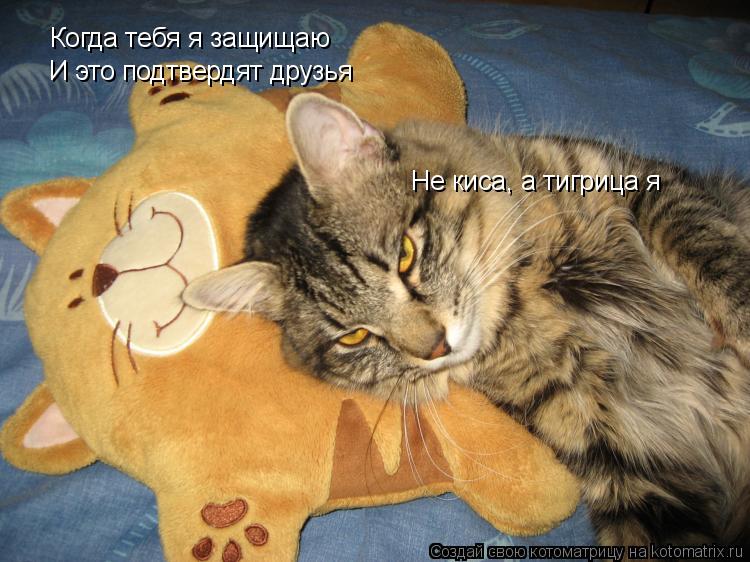 Когда тебя я защищаю И это подтвердят друзья Не киса, а тигрица я... Котоматрица: Когда тебя я защищаю И это подтвердят друзья Не киса, а тигрица я