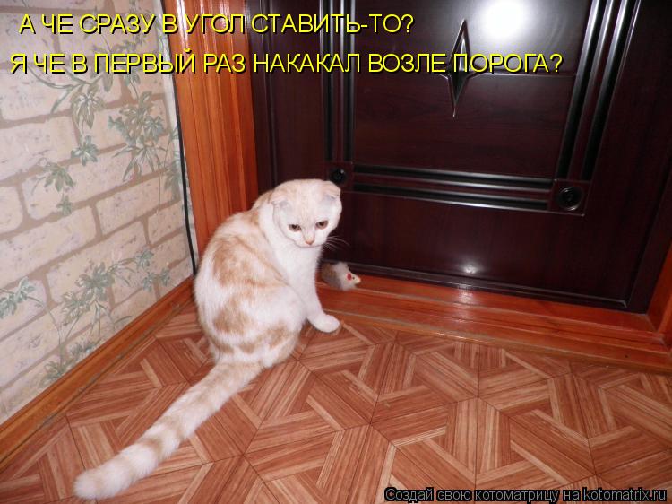 А ЧЕ СРАЗУ В УГОЛ СТАВИТЬ-ТО? Я ЧЕ В ПЕРВЫЙ РАЗ НАКАКАЛ ВОЗЛЕ ПОРОГА?... Котоматрица: А ЧЕ СРАЗУ В УГОЛ СТАВИТЬ-ТО? Я ЧЕ В ПЕРВЫЙ РАЗ НАКАКАЛ ВОЗЛЕ ПОРОГА?
