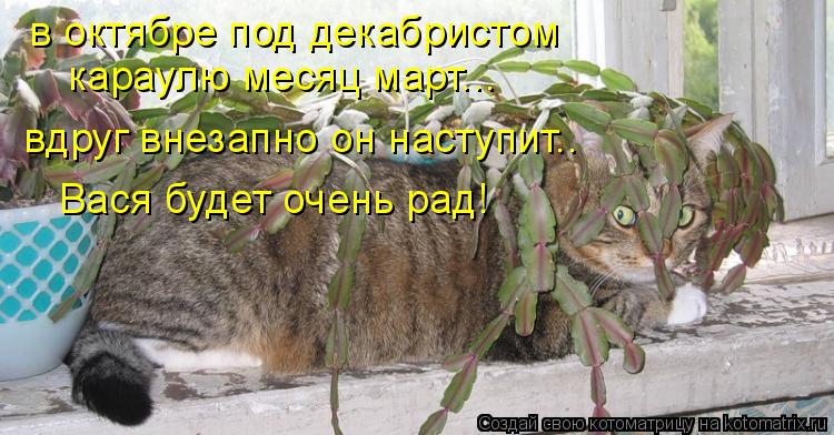 Котоматрица: в октябре под декабристом караулю месяц март... вдруг внезапно он наступит.. Вася будет очень рад!