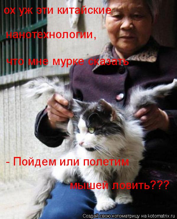 Котоматрица: ох уж эти китайские что мне мурке сказать - Пойдем или полетим  мышей ловить??? нанотехнологии,