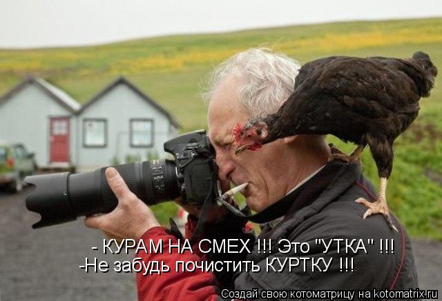 Котоматрица: -Не забудь почистить КУРТКУ !!! - КУРАМ НА СМЕХ !!! Это "УТКА" !!!