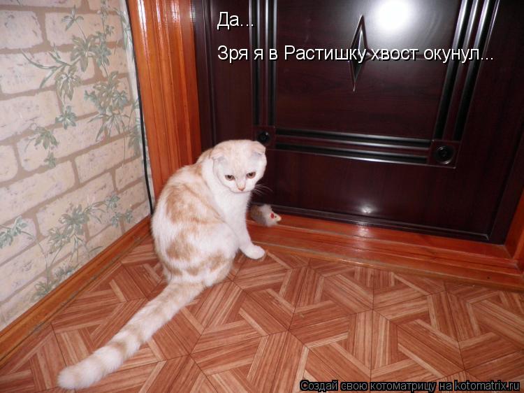 Котоматрица: Да... Зря я в Растишку хвост окунул...