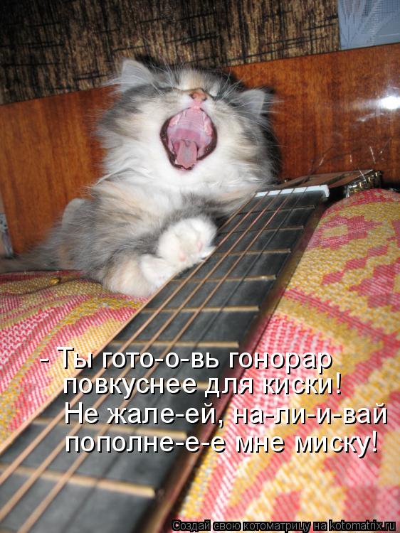 Котоматрица: - Ты гото-о-вь гонорар  повкуснее для киски! Не жале-ей, на-ли-и-вай  пополне-е-е мне миску!