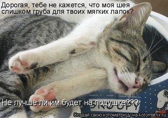 Котоматрица: Дорогая, тебе не кажется, что моя шея слишком груба для твоих мягких лапок? Не лучше ли им будет на подушке???