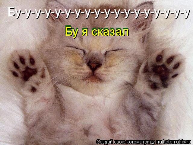 Котоматрица: Бу-у-у-у-у-у-у-у-у-у-у-у-у-у-у-у-у-у Бу я сказал Бу я сказал