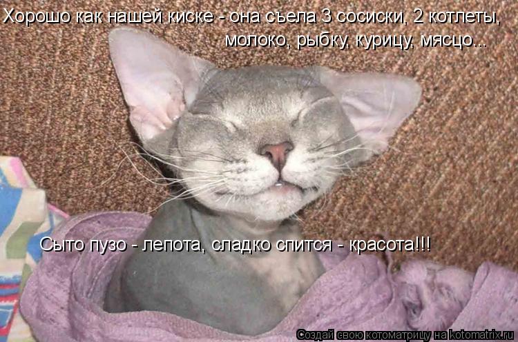 Котоматрица: Хорошо как нашей киске - она съела 3 сосиски, 2 котлеты, молоко, рыбку, курицу, мясцо... Сыто пузо - лепота, сладко спится - красота!!!