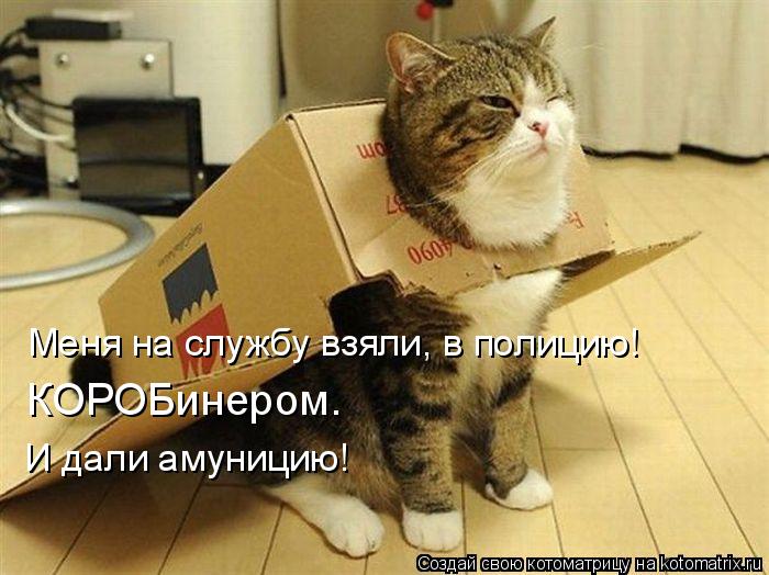 Меня на службу взяли, в полицию! КОРОБинером. И дали амуницию!... Котоматрица: Меня на службу взяли, в полицию! КОРОБинером. И дали амуницию!