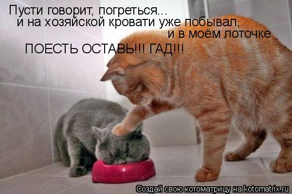 Котоматрица: Пусти говорит, погреться... и на хозяйской кровати уже побывал, и в моём лоточке ПОЕСТЬ ОСТАВЬ!!! ГАД!!!