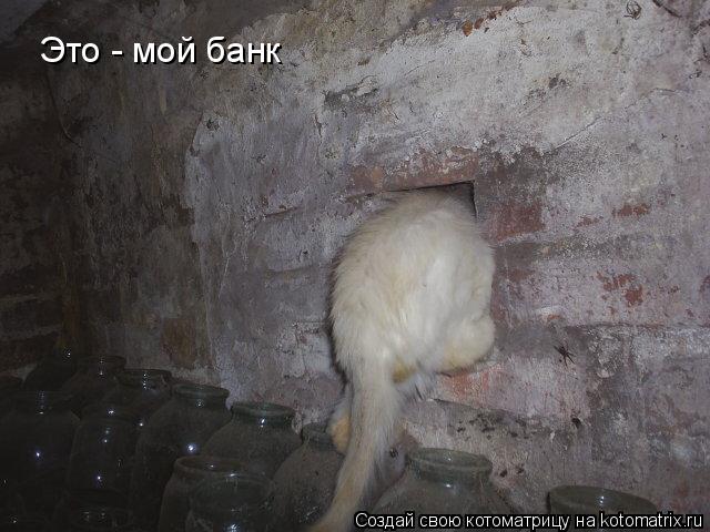 Котоматрица: Это - мой банк
