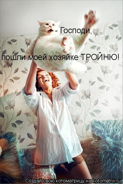 Котоматрица: - Господи,  пошли моей хозяйке ТРОЙНЮ!