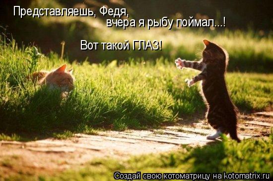 Котоматрица: Представляешь, Федя,  вчера я рыбу поймал...! Вот такой ГЛАЗ!