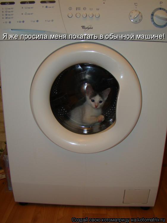 Котоматрица: Я же просила меня покатать в обычной машине!