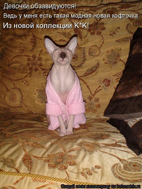 Котоматрица: Девочки обзавидуются! Ведь у меня есть такая модная новая кофточка Из новой коллекции K*K!