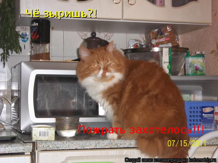 Котоматрица: Чё зыришь?!  Пожрать захотелось!!!